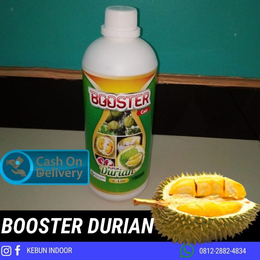 Grosir Pupuk Durian Semarang, Pabrik Pupuk Durian Tabulampot Banjarnegara, Murah Pupuk Durian Agar Berbuah Lebat Banyumas, Diskon Pupuk Durian Montong Purwokerto