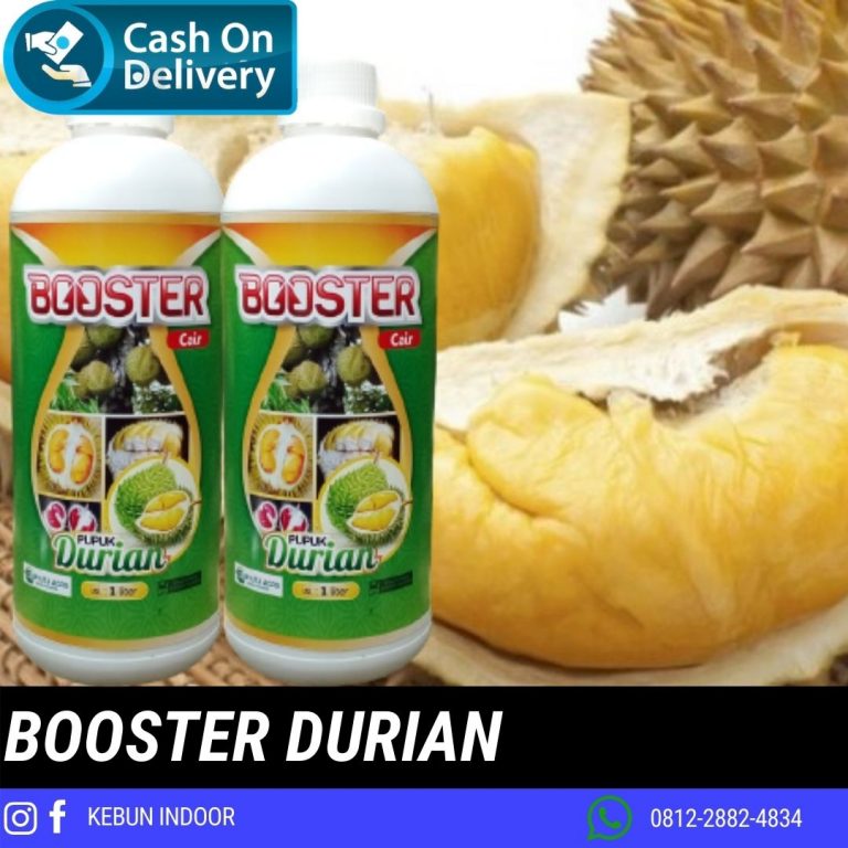 DISKON 0812-2882-4834 Grosir Pupuk Durian Semarang, Pabrik Pupuk Durian Tabulampot Banjarnegara, Murah Pupuk Durian Agar Berbuah Lebat Banyumas