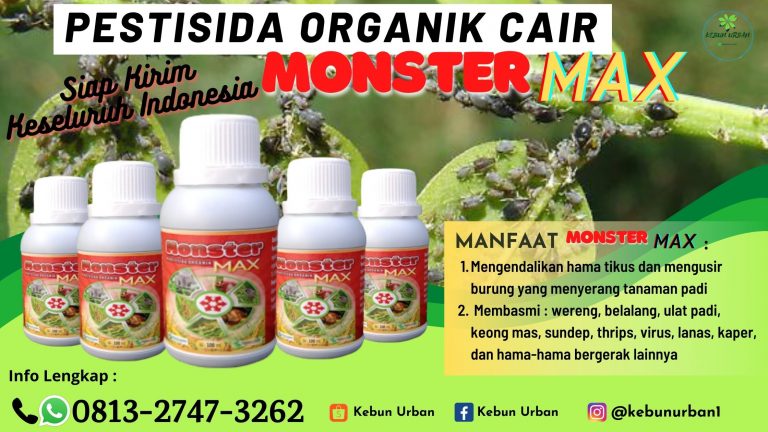 DAPATKAN.0813-2747-3262 Agen pestisida organik untuk kacang panjang di Barito