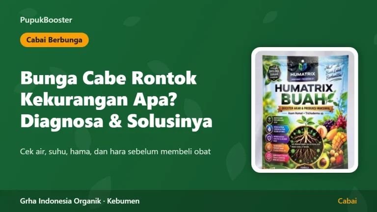 Bunga Cabe Rontok Kekurangan Apa? Diagnosa dan Solusinya