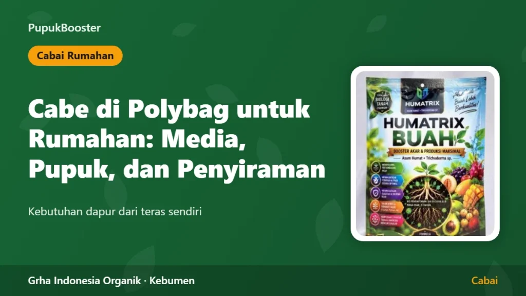 Cabe di Polybag untuk Rumahan: Media, Pupuk, dan Penyiraman