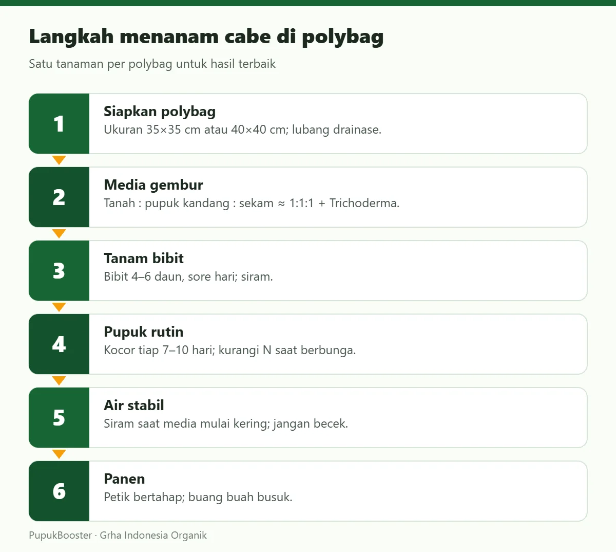 Langkah menanam cabe di polybag