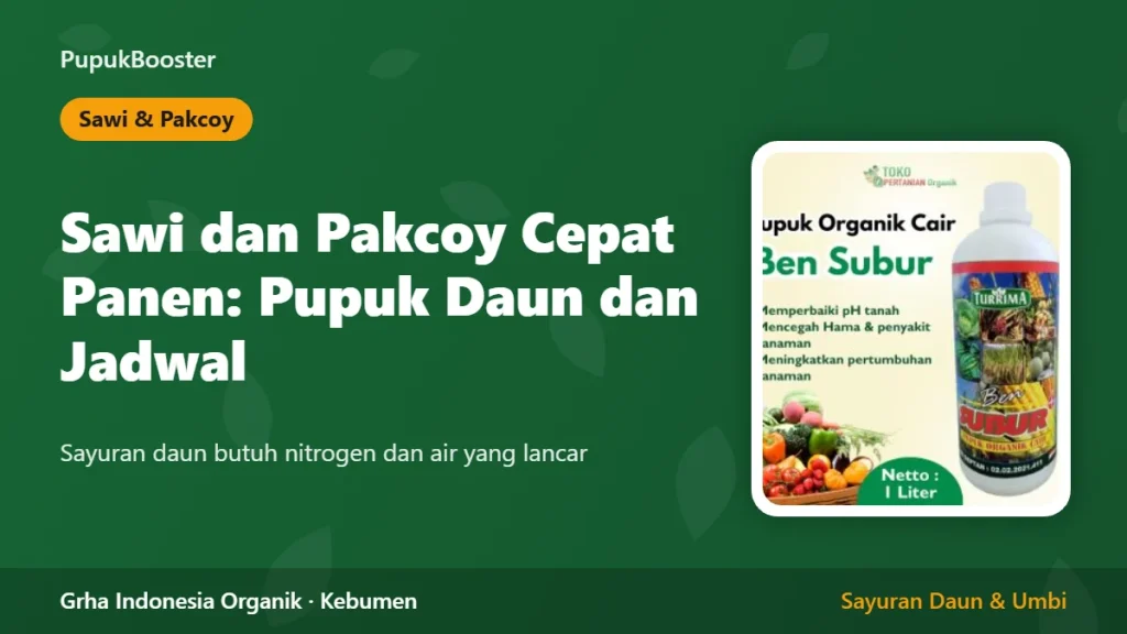 Sawi dan Pakcoy Cepat Panen: Pupuk Daun dan Jadwal