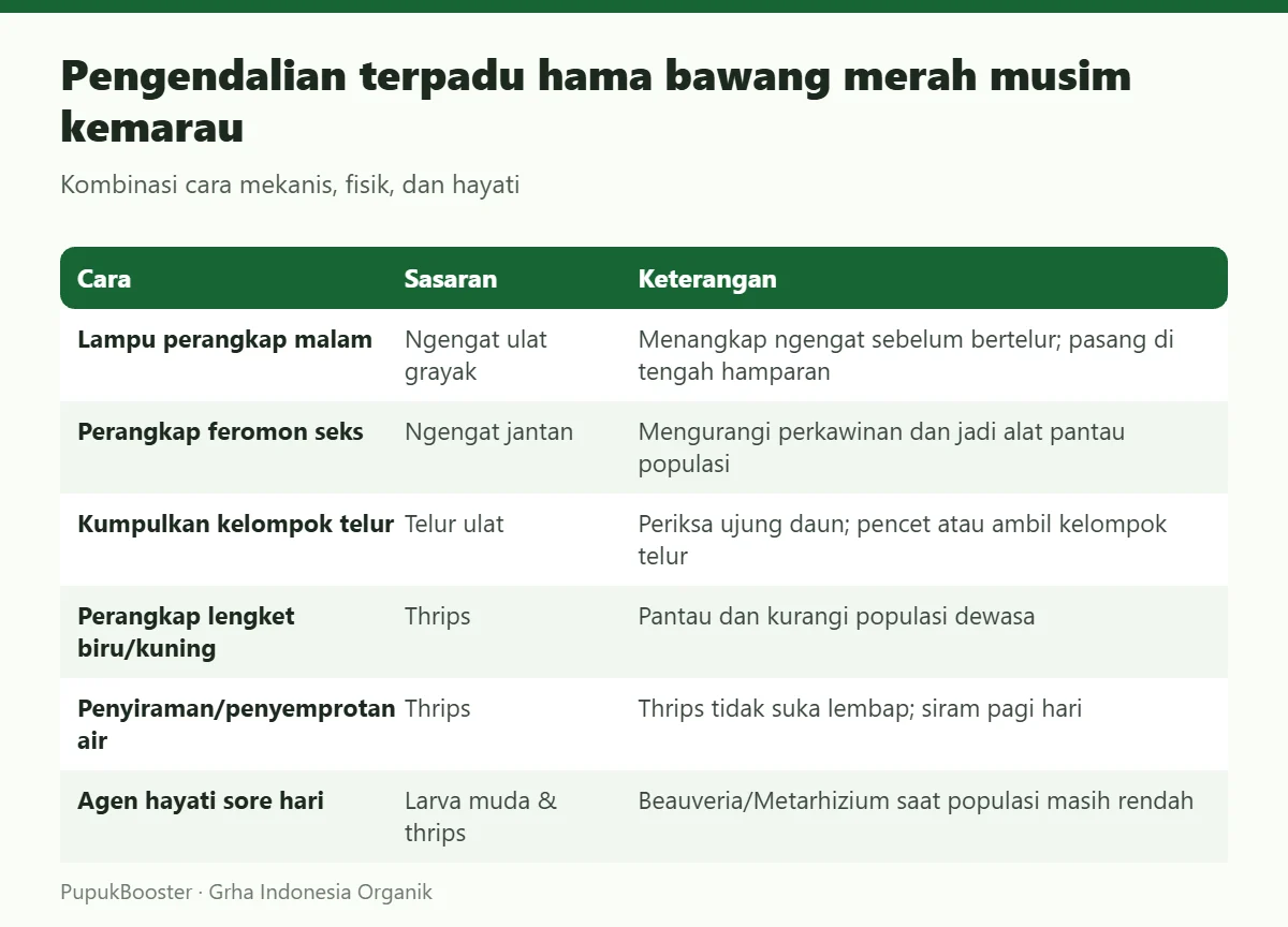 Pengendalian terpadu hama bawang merah musim kemarau
