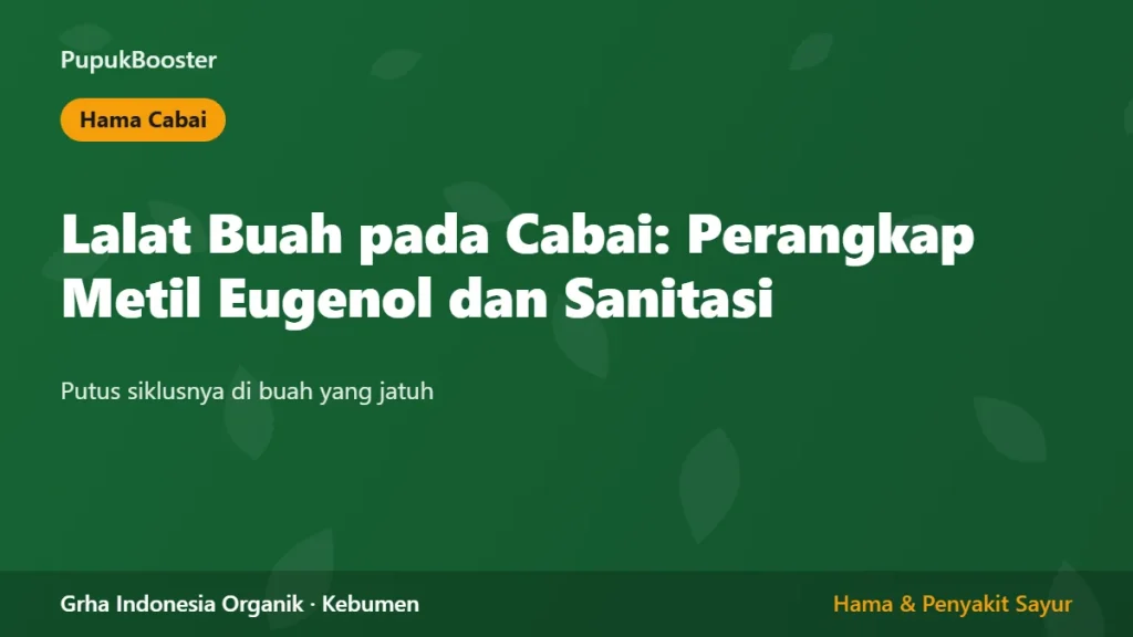 Lalat Buah pada Cabai: Perangkap Metil Eugenol dan Sanitasi