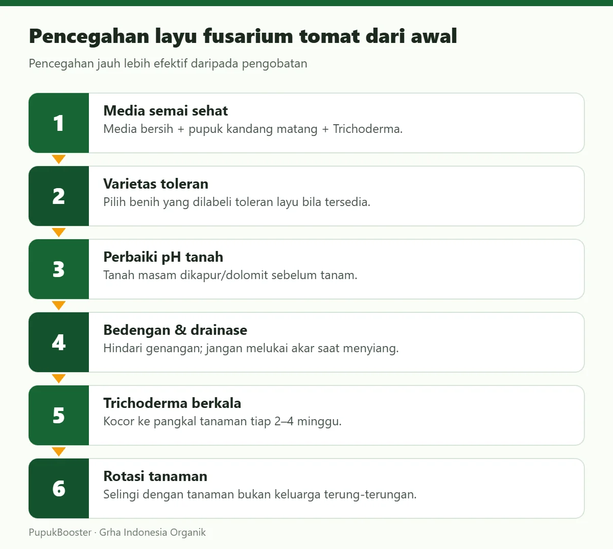 Pencegahan layu fusarium tomat dari awal