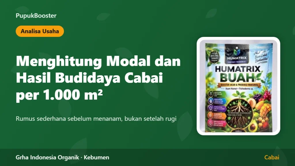 Menghitung Modal dan Hasil Budidaya Cabai per 1.000 Meter Persegi