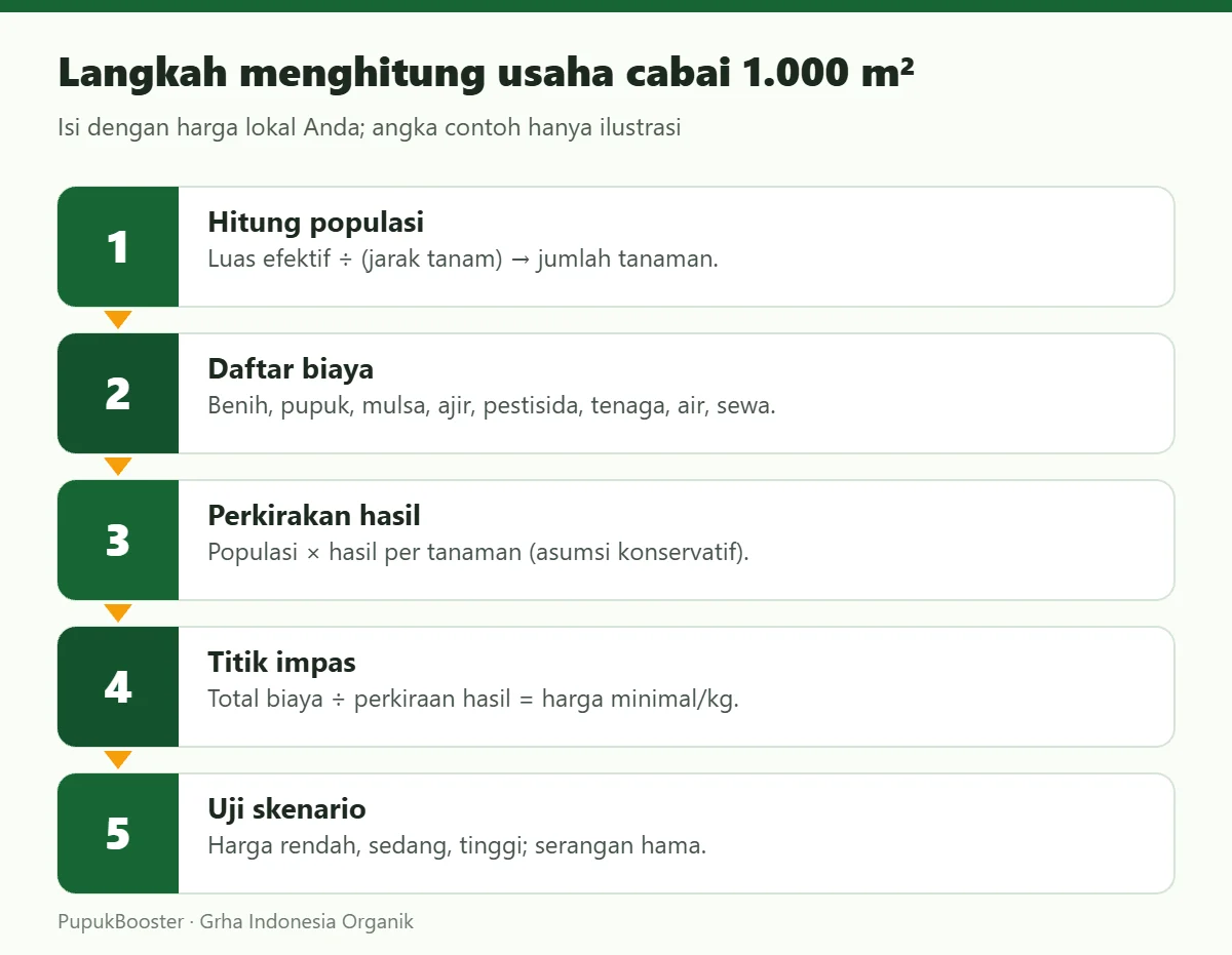 Langkah menghitung usaha cabai 1.000 m²