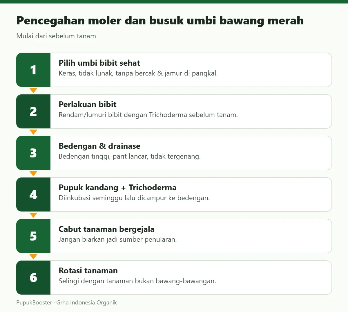 Pencegahan moler dan busuk umbi bawang merah