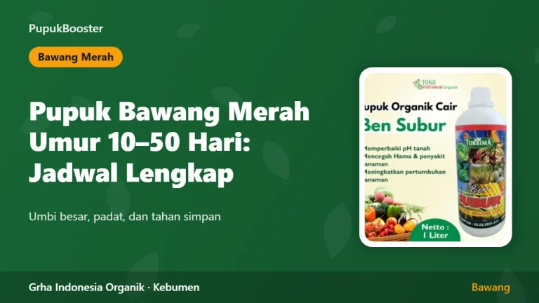 Pupuk Bawang Merah Umur 10 sampai 50 Hari: Jadwal Lengkap