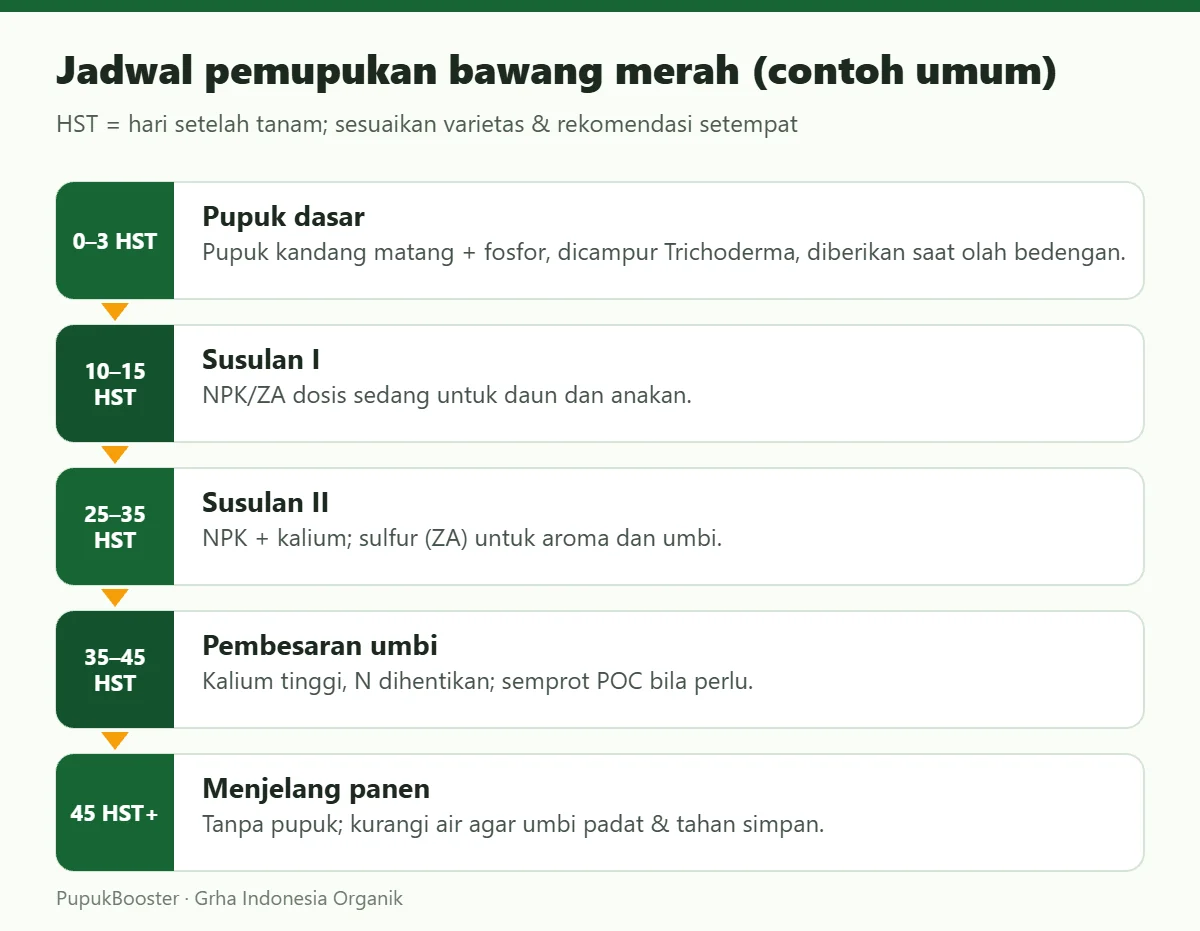 Jadwal pemupukan bawang merah (contoh umum)