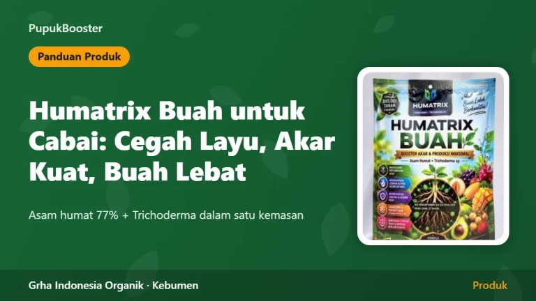 Humatrix Buah untuk Cabai: Cegah Layu, Akar Kuat, Buah Lebat