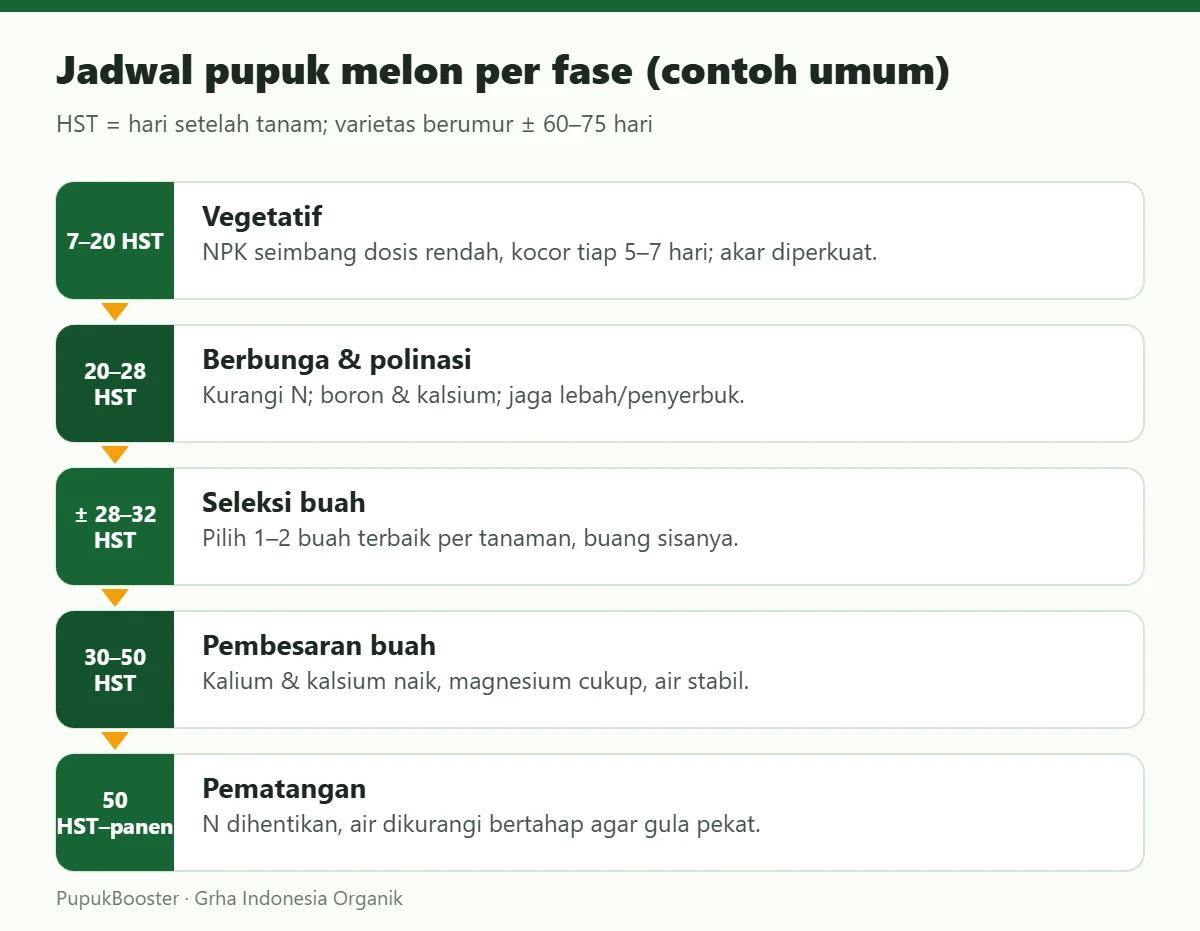 Jadwal pupuk melon per fase (contoh umum)