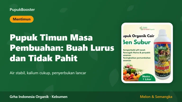 Pupuk Timun Masa Pembuahan: Buah Lurus dan Tidak Pahit